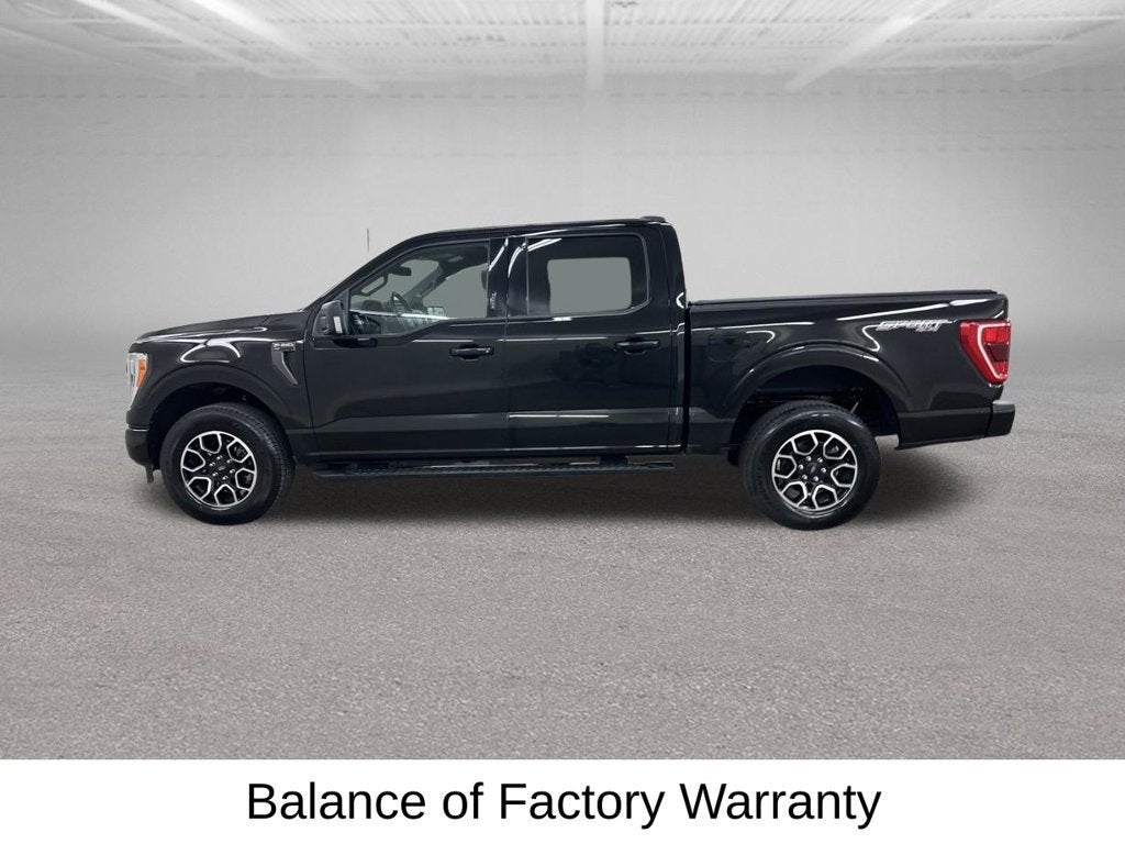 2023 Ford F-150 XL