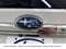 2025 Subaru Ascent Limited
