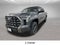 2023 Toyota Tundra 4WD Platinum
